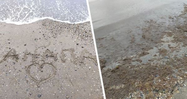 Море в Анапе повергло меня в шок: туристка пояснила, почему никогда не поедет на этот курорт в разгар сезона
