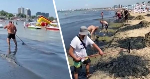 Нефть идет на пляжи Анапы: туристы и дельфины в шоке от экологической катастрофы