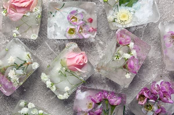 Из лепестков роз, настоя ромашки и сока алоэ: есть ли разница, какой лед тает на вашем лице, есть ли смысл вообще протирать им кожу